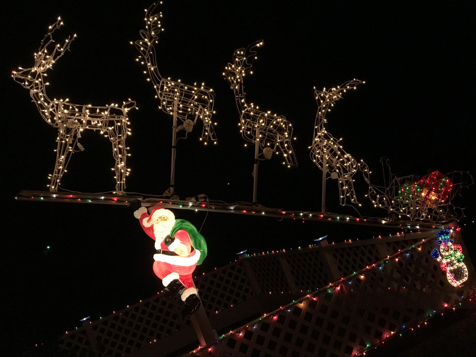 Barbara Storey Christmas lights